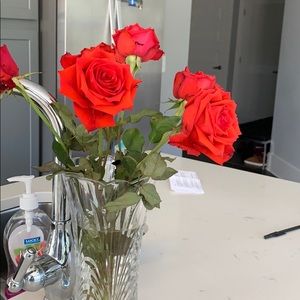 Meet your Posher, Mihir